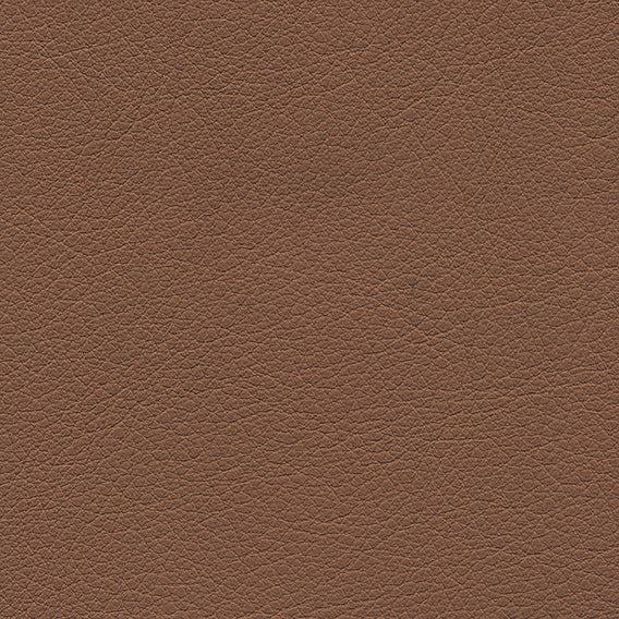 Wipelli leather color 2496