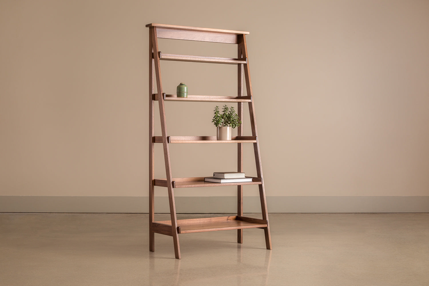 Ladder Shelf